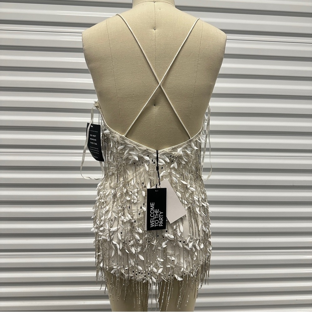 NWT Retrofete Haven Embellished Fringe White Mini Dress Crystals $998 - Picture 4 of 4
